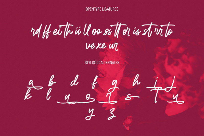 rello-swelly-monoline-signature-script-font