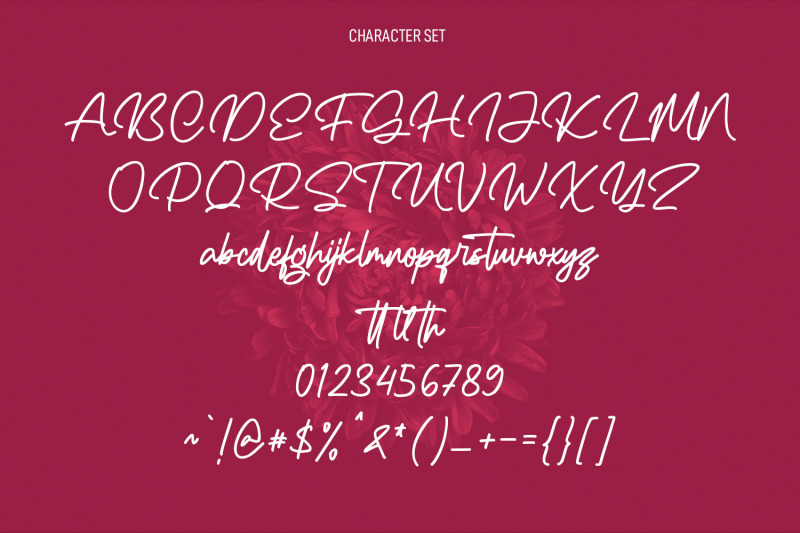 rello-swelly-monoline-signature-script-font