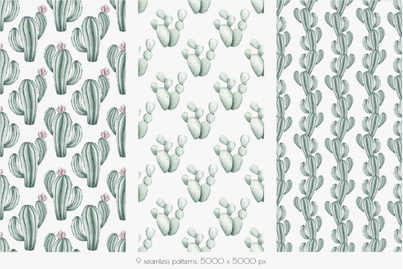 seamless-patterns-set-quot-succulents-quot