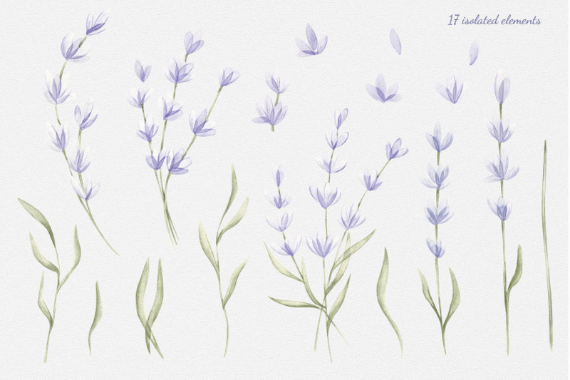 watercolor-set-lavender