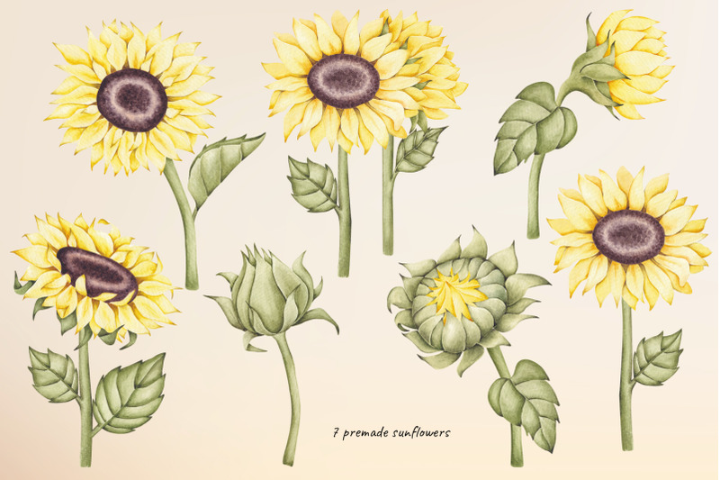 watercolor-clipart-sunflowers