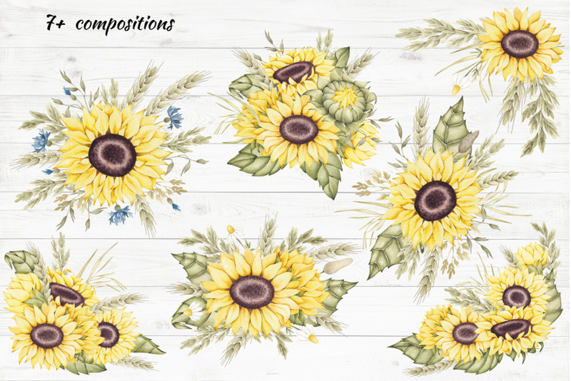 sunflower-bouquets-frames-borders