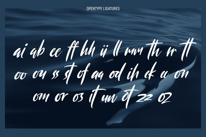 monstores-fancy-signature-script-font