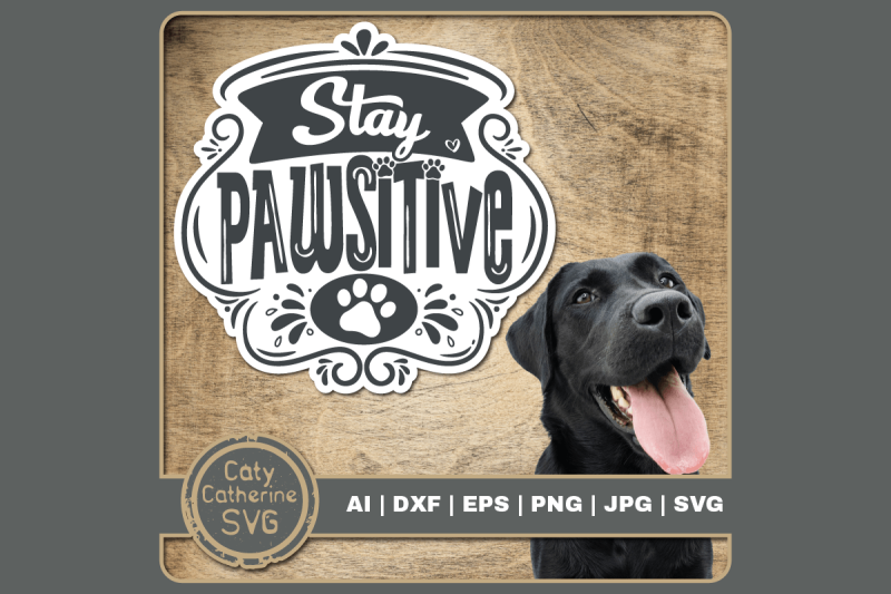 stay-pawsitive-funny-dog-positive-inspirational-quote-svg-cut-file