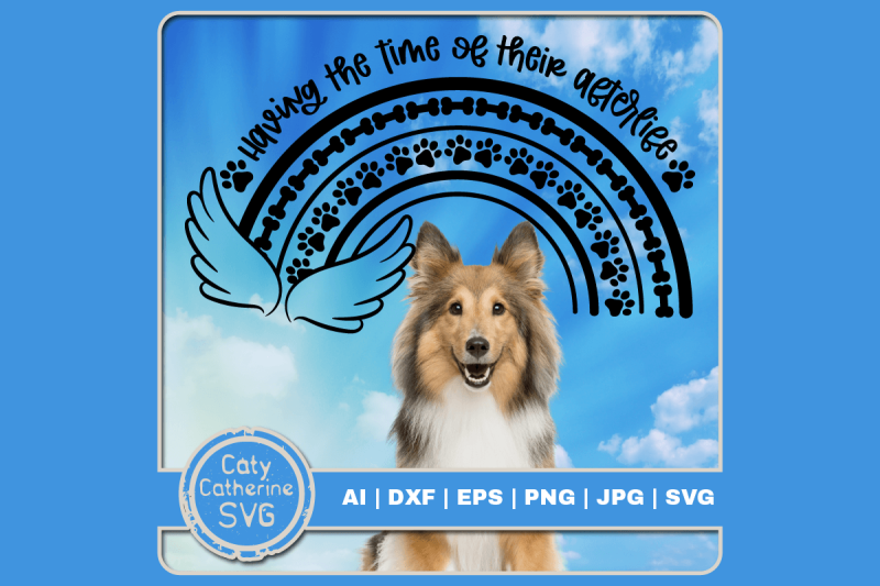 having-the-time-of-their-afterlife-dog-remembrance-rainbow-bridge-quot