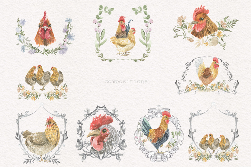 hens-and-roosters