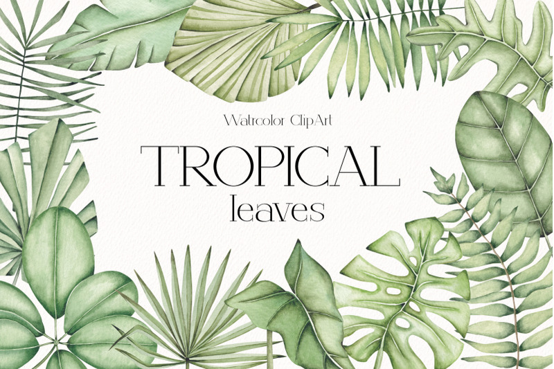 watercolor-clipart-quot-tropical-leaves-quot