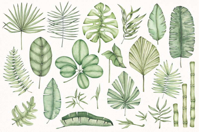 watercolor-clipart-quot-tropical-leaves-quot