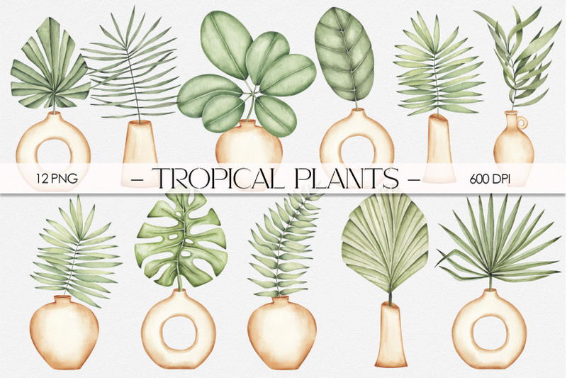 watercolor-set-quot-tropical-plants-quot