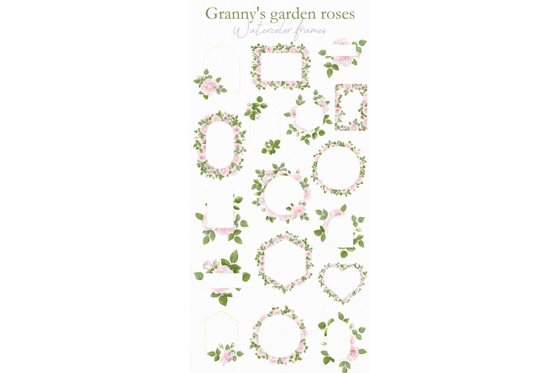 pink-rose-pattern-and-illustration