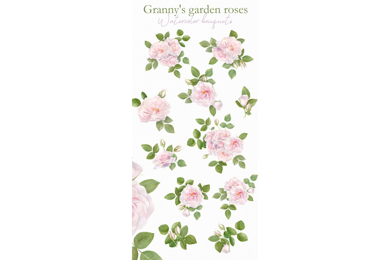 pink-rose-pattern-and-illustration