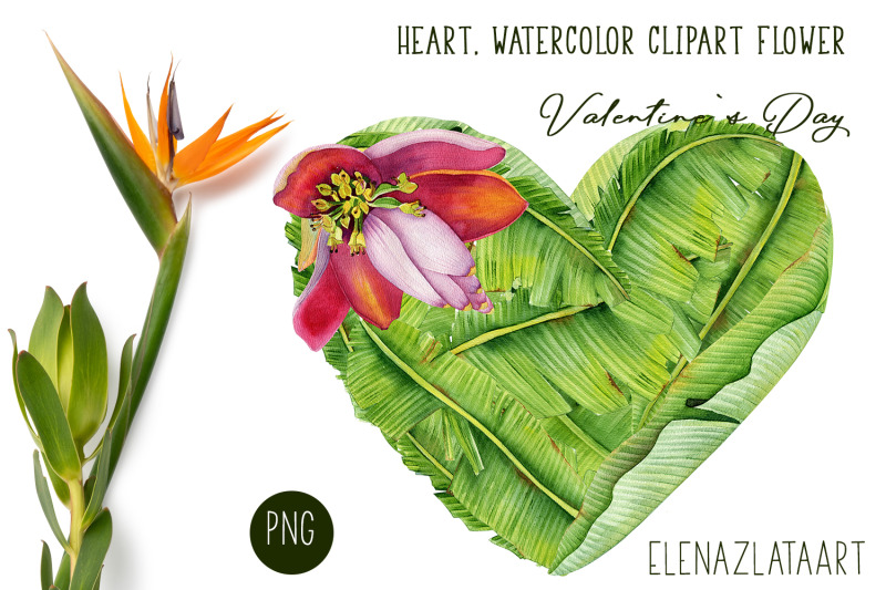 valentines-day-heart-watercolor-flower-clipart