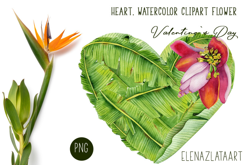 valentines-day-heart-watercolor-flower-clipart