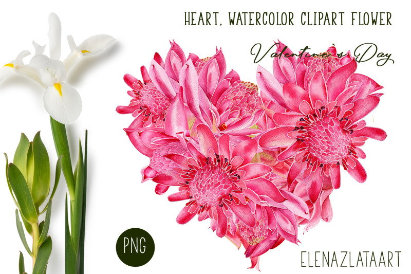 valentines-day-heart-watercolor-flower-clipart