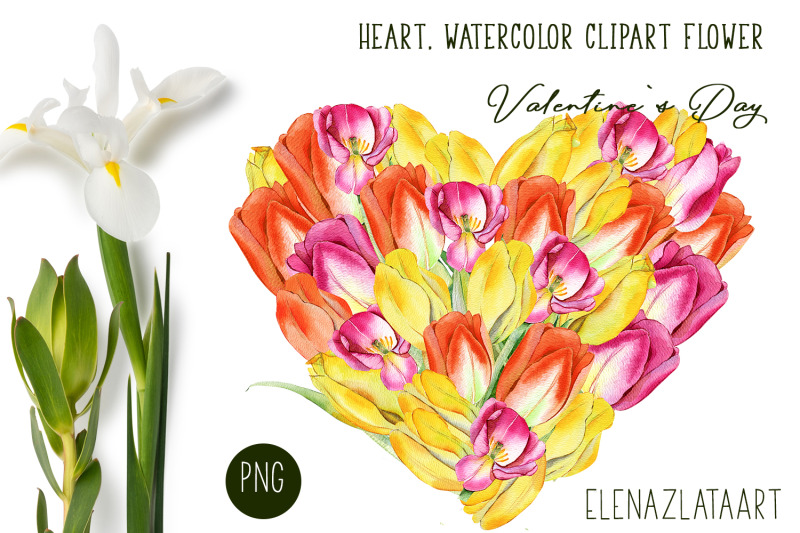 valentines-day-heart-watercolor-flower-clipart