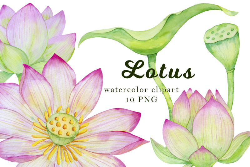 lotus-clipart-watercolor-flower-clipart