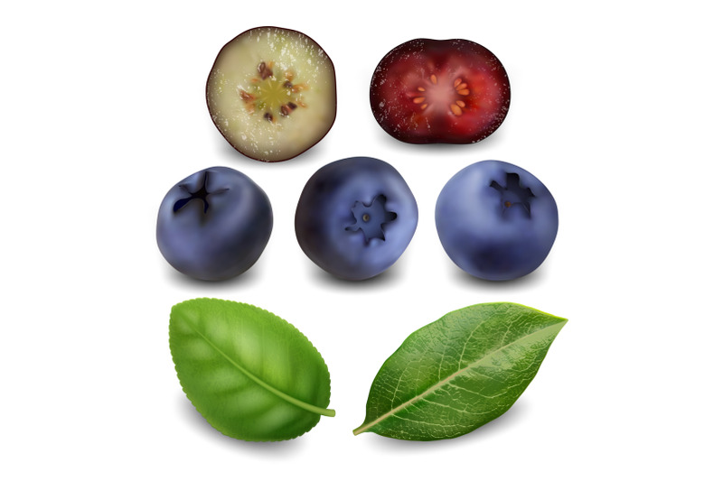 blueberry-and-huckleberry-berries-food-set-vector