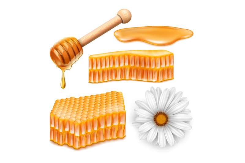 honey-bee-honeycomb-vector