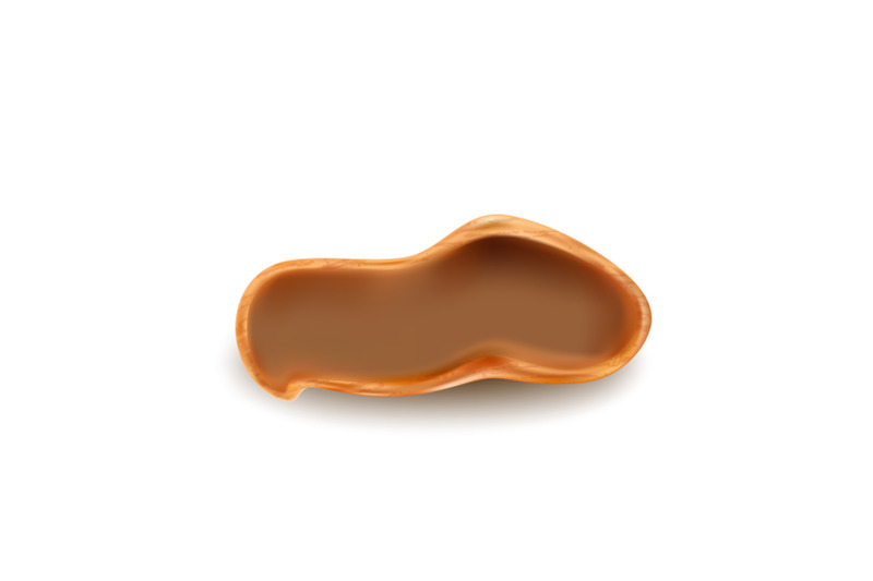 peanut-empty-crashed-shell-natural-snack-vector