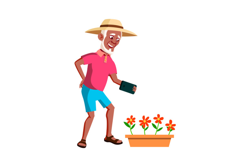 old-man-photographing-flowers-in-garden-vector