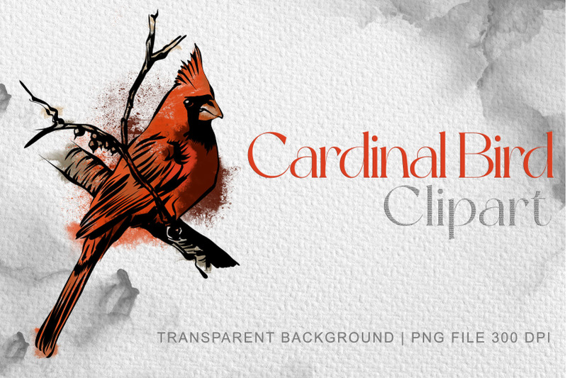 cardinal-bird-clipart-cardinal-on-branch-png-christmas-clip-art