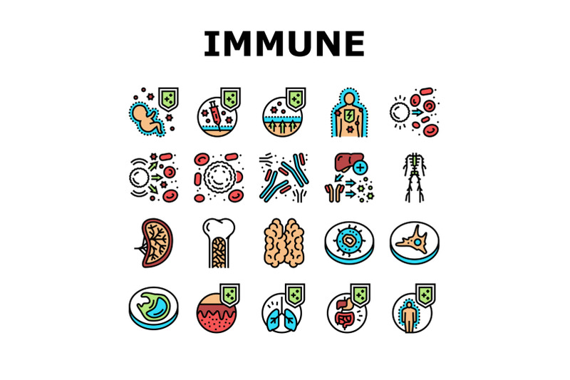 immune-system-disease-and-treat-icons-set-vector