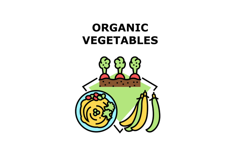 organic-vegetables-concept-color-illustration