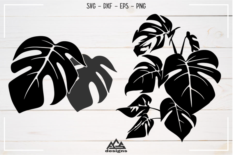 tropical-leafs-pack-svg-design
