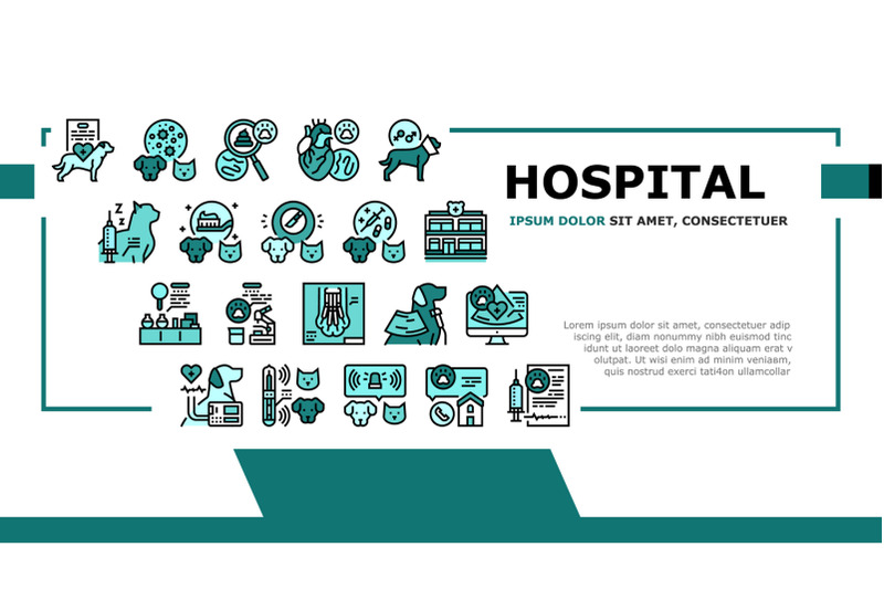 hospital-pet-health-examination-landing-header-vector