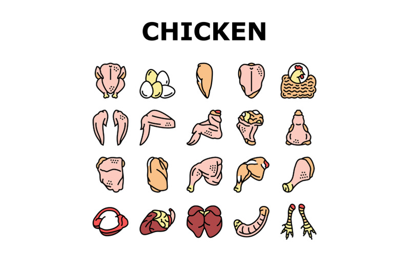 chicken-animal-farm-raw-meat-food-icons-set-vector