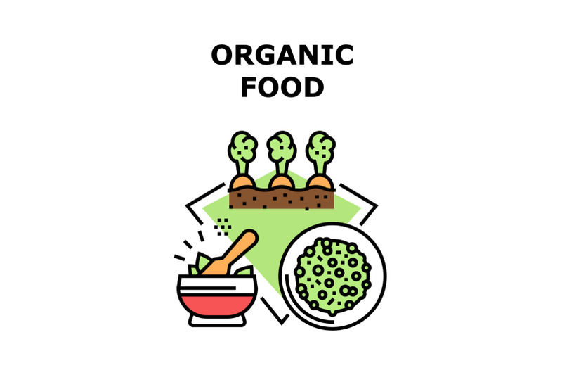 organic-food-vector-concept-color-illustration