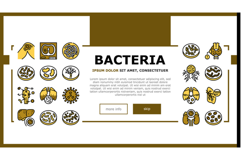 bacteria-infection-landing-header-vector