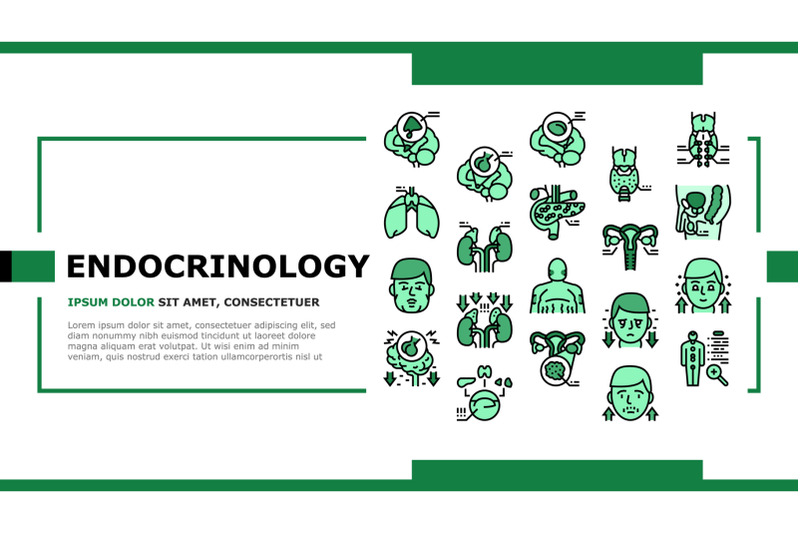 endocrinology-medical-disease-landing-header-vector