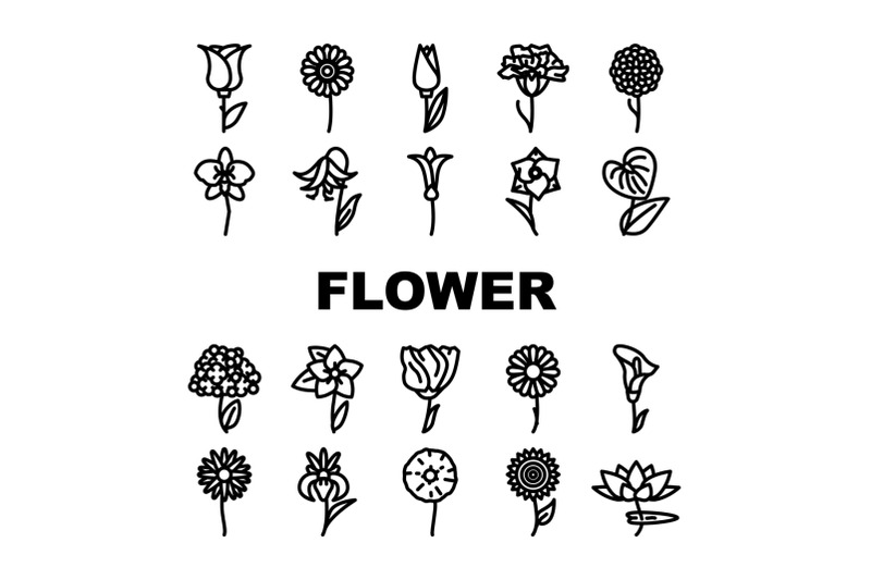 flower-natural-aromatic-plant-icons-set-vector