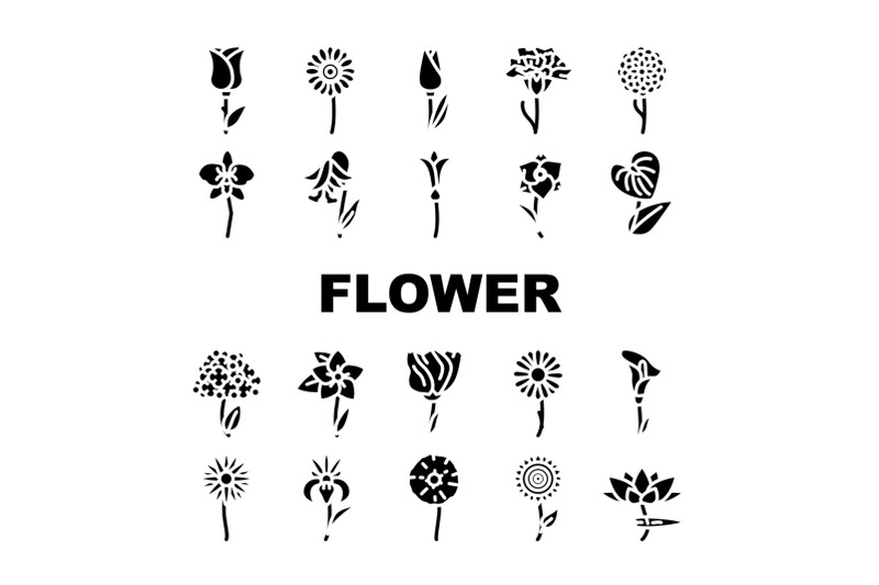 flower-natural-aromatic-plant-icons-set-vector