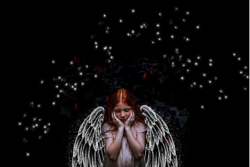 angel-wings-stamps-for-procreate