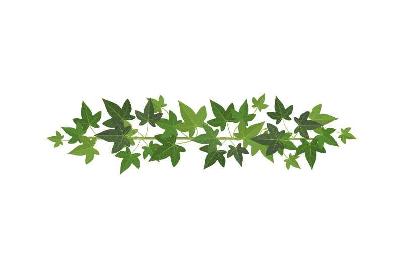 green-ivy-wall-climbing-plant-decoration-design-element-organic-bot