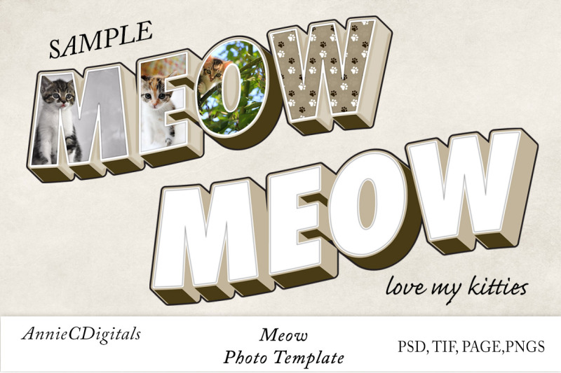 meow-photo-title-amp-template