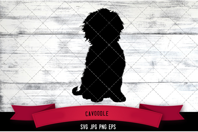 cavoodle-silhouette-vector