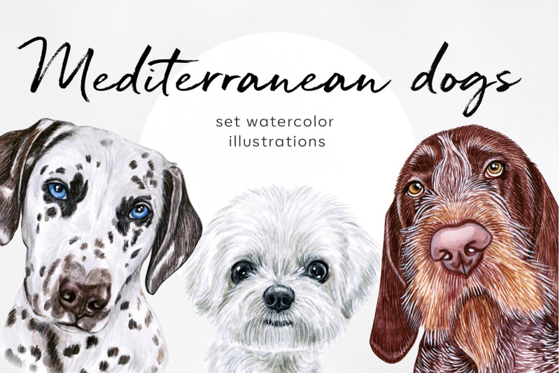 mediterranean-dog-watercolor-cute-set-10-dogs-breeds