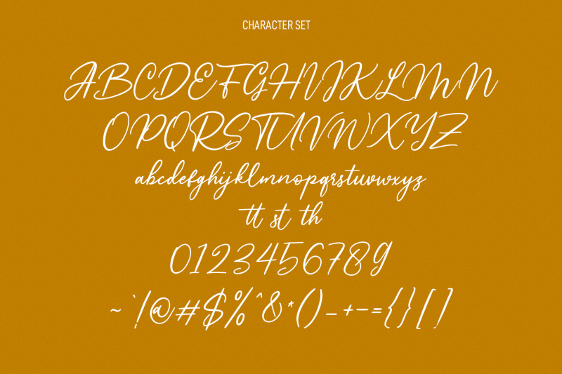 nishyad-signature-script-font