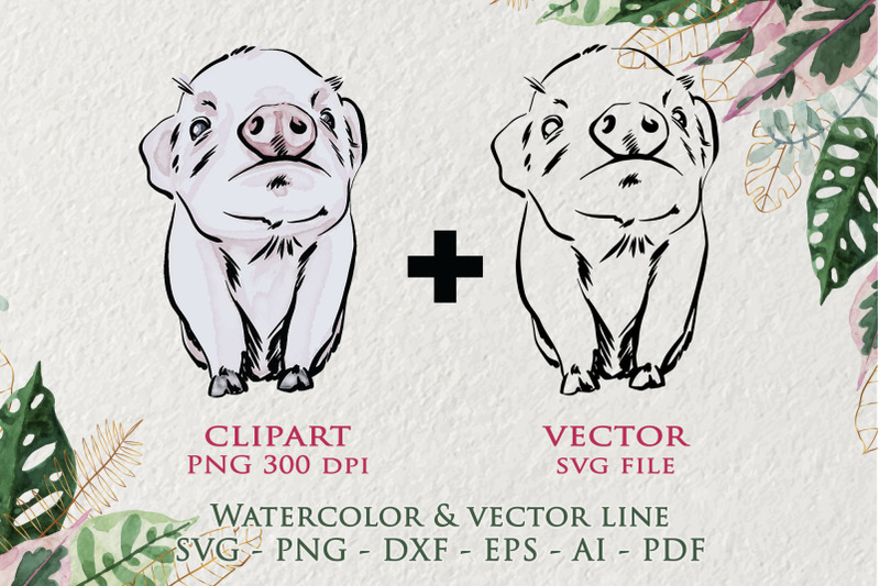 baby-pig-clipart-watercolor-illustrtation-baby-pig-png-cute-pig-wo