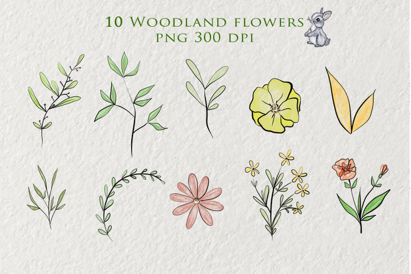 woodland-animals-clipart-watercolor-forest-animal-clip-art-wild-png