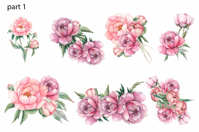 watercolor-pink-peonies-border-clipart-wedding-peony-floral