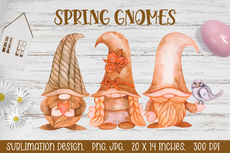 spring-gnomes-spring-sublimation-watercolor-gnome