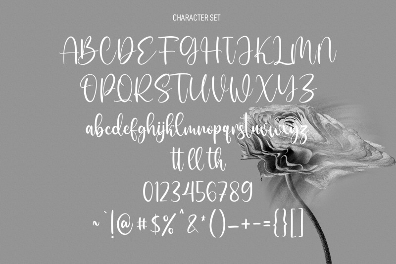 sallutos-signature-script-font