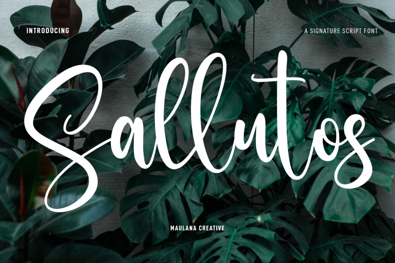 sallutos-signature-script-font