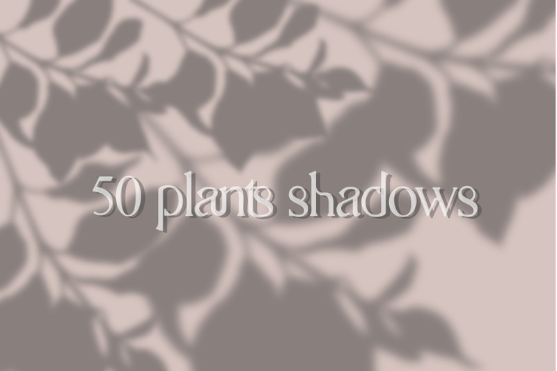 50-plants-shadows