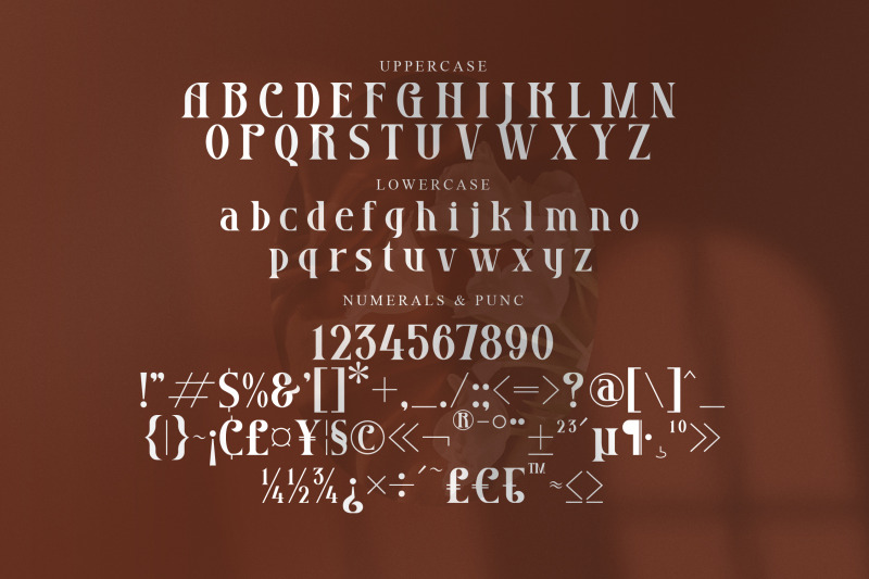 grozery-typeface