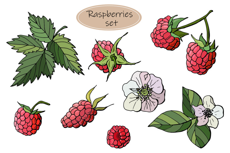 raspberry